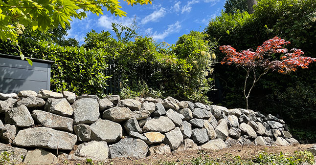 Natural rockery retaining wall with landscaping and red maple tree